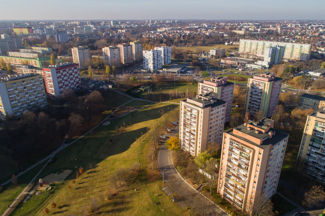 Lublin: Miasto chce chronić zielone tereny. Szykują się zmiany planistyczne w kilku miejscach - Zdjęcie główne