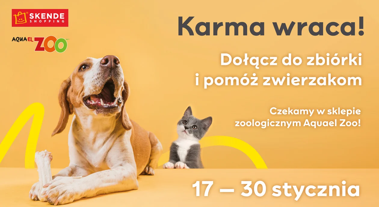 Lublin: Potrzebna karma, koce i obroże dla zwierząt. Ruszyła zbiórka dla schroniska i fundacji - Zdjęcie główne