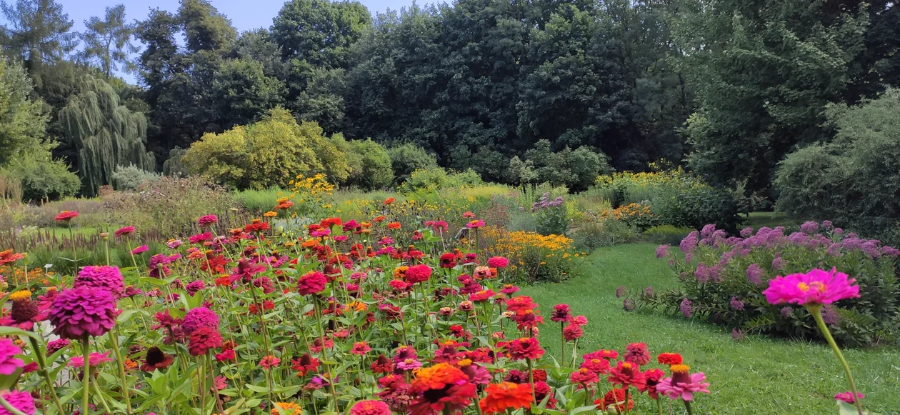 Lublin: Ogród Botaniczny UMCS nauczy robić bukiety - Zdjęcie główne