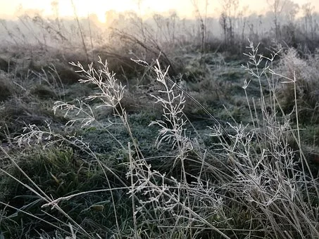 Lubelskie: Czy wreszcie wyjrzy słońce? Prognoza pogody na weekend(02 - 04.12.2022r) - Zdjęcie główne