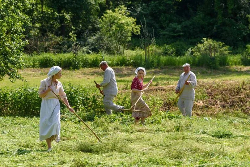 Sianokosy w lubelskim skansenie. Pokaz koszenia i stare zwyczaje - Zdjęcie główne