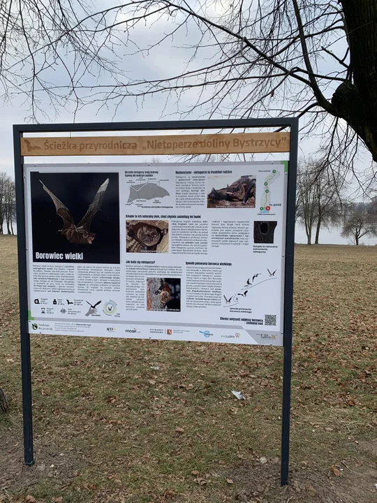 Lublin: Można spacerować i poznawać nietoperze. Powstała ścieżka przyrodnicza - Zdjęcie główne