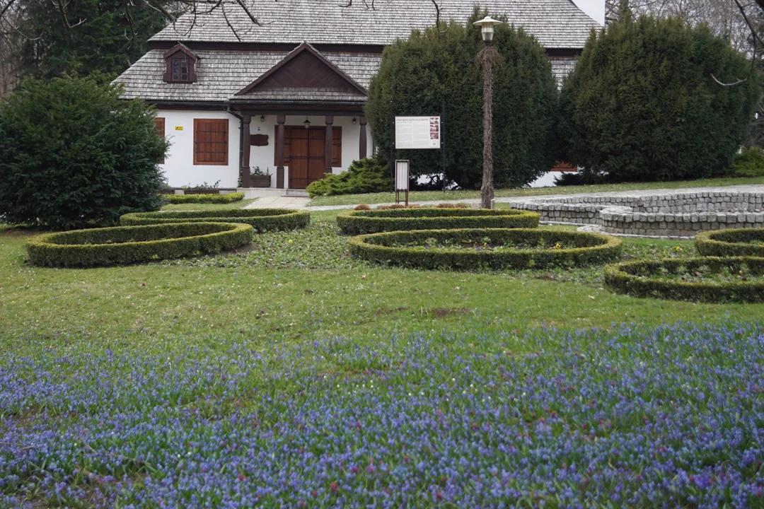Lublin: Ogród Botaniczny UMCS zostanie otwarty po przerwie. Znamy cennik - Zdjęcie główne