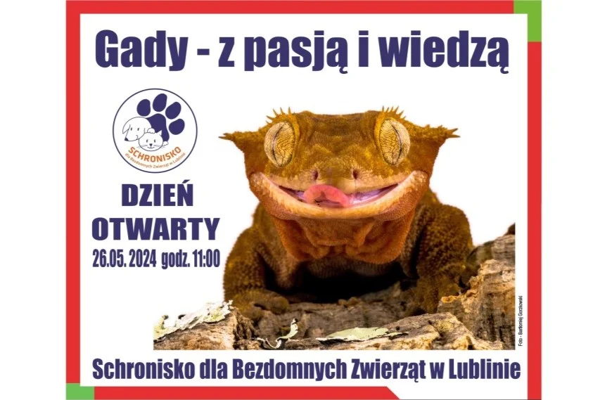 „Gady – z pasją i wiedzą!”. Dzień otwarty w schronisku (PROGRAM) - Zdjęcie główne