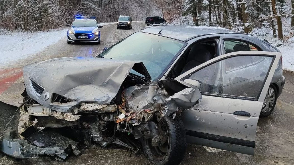 Zima na drogach Lubelszczyzny. Policja apeluje - Zdjęcie główne