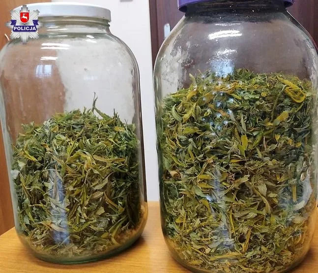 Powiat łęczyński: Miał 280 gram marihuany w słoikach - Zdjęcie główne