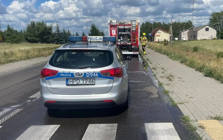 Powiat łukowski. Niecodzienna interwencja na drodze wojewódzkiej - Zdjęcie główne