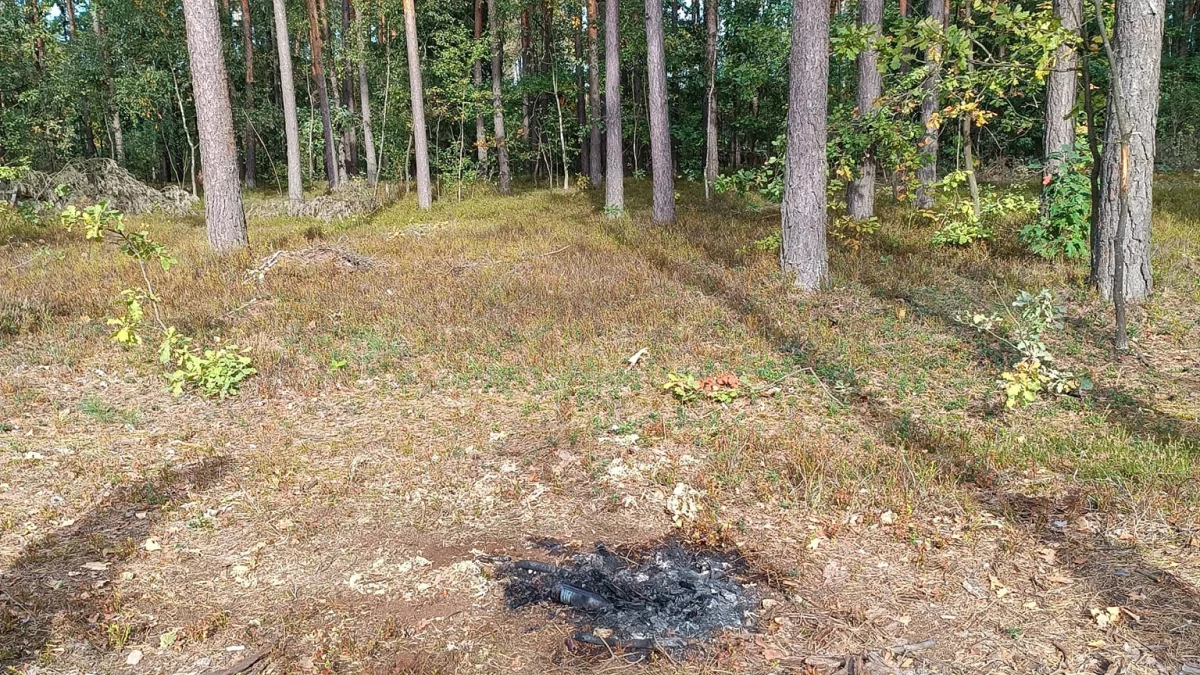 Spacer po lesie skończył się wezwaniem strażaków. Brak wyobraźni! - Zdjęcie główne