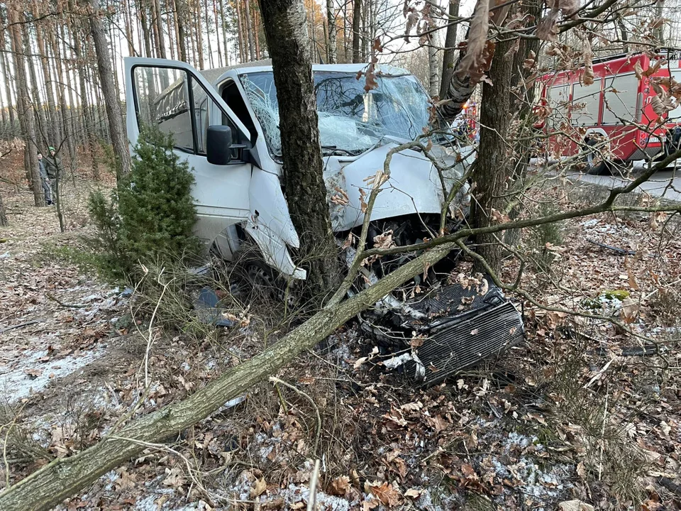 Stracił panowanie nad kierownicą i uderzył busem w drzewo  - Zdjęcie główne