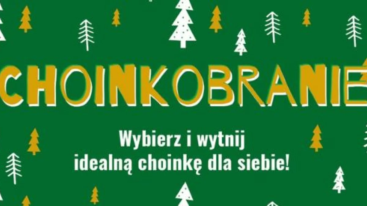 Choinkobranie - wybierz dla siebie najładniejsze drzewko! - Zdjęcie główne