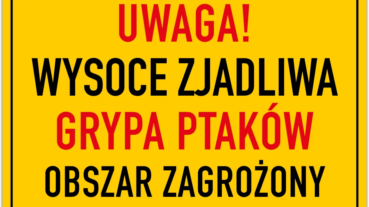 Ptasia grypa zagraża naszym miejscowościom. Najbardziej narażone są gminy Trzebieszów i Łuków - Zdjęcie główne