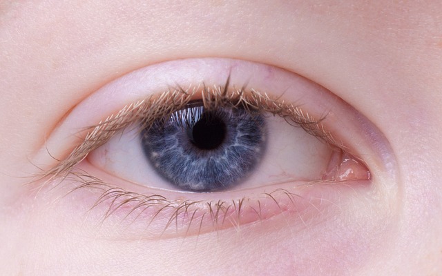 Postaw na pełną i bezpłatną diagnostykę swojego wzroku! - Zdjęcie główne
