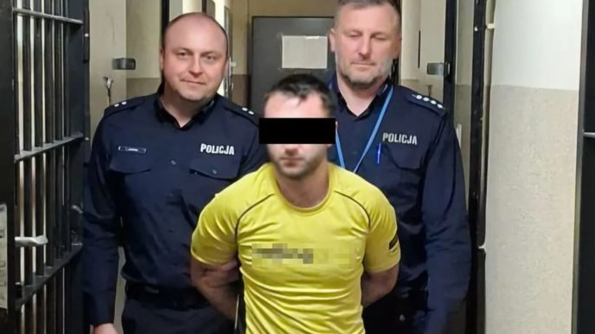 Gruzin kradł sprzęt ze sklepów. Wpadł w ręce policji - Zdjęcie główne