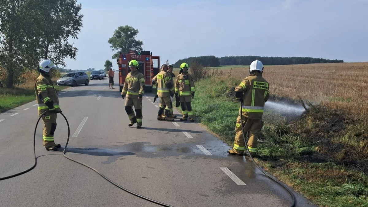 Dwa pożary w weekend, dziś kolejny. Upał i susza dają się we znaki - Zdjęcie główne