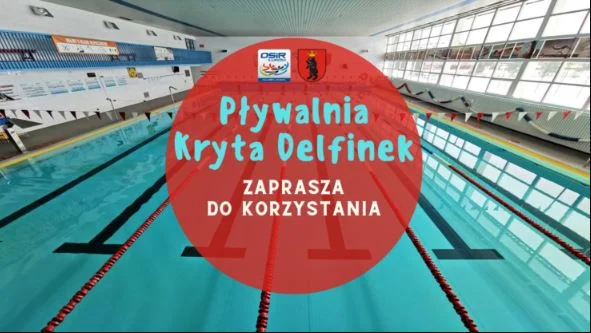 Pływalnia Kryta „Delfinek” znowu czynna - Zdjęcie główne