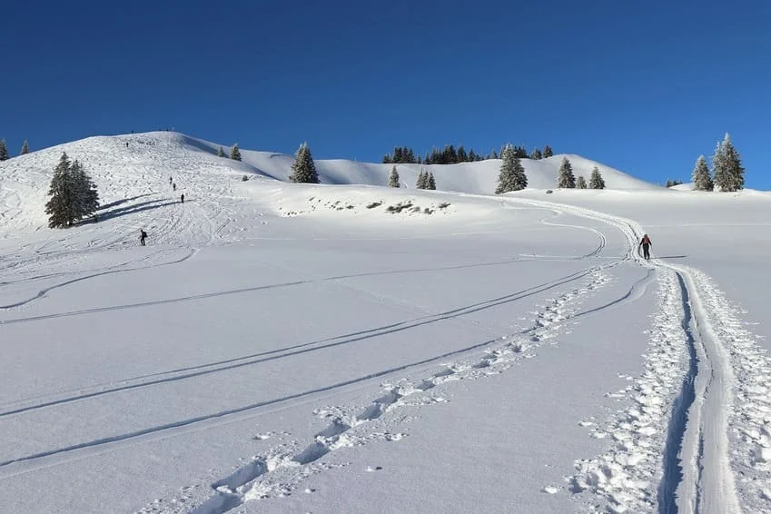 O czym szczególnie warto pamiętać, wybierając się na narty w tym sezonie? - Zdjęcie główne