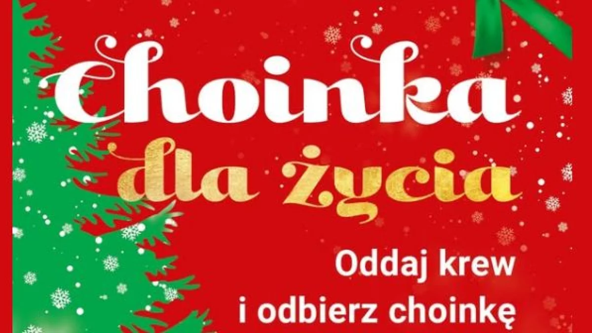 Oddasz krew otrzymasz choinkę. Akcja Nadleśnictwa Łuków - Zdjęcie główne