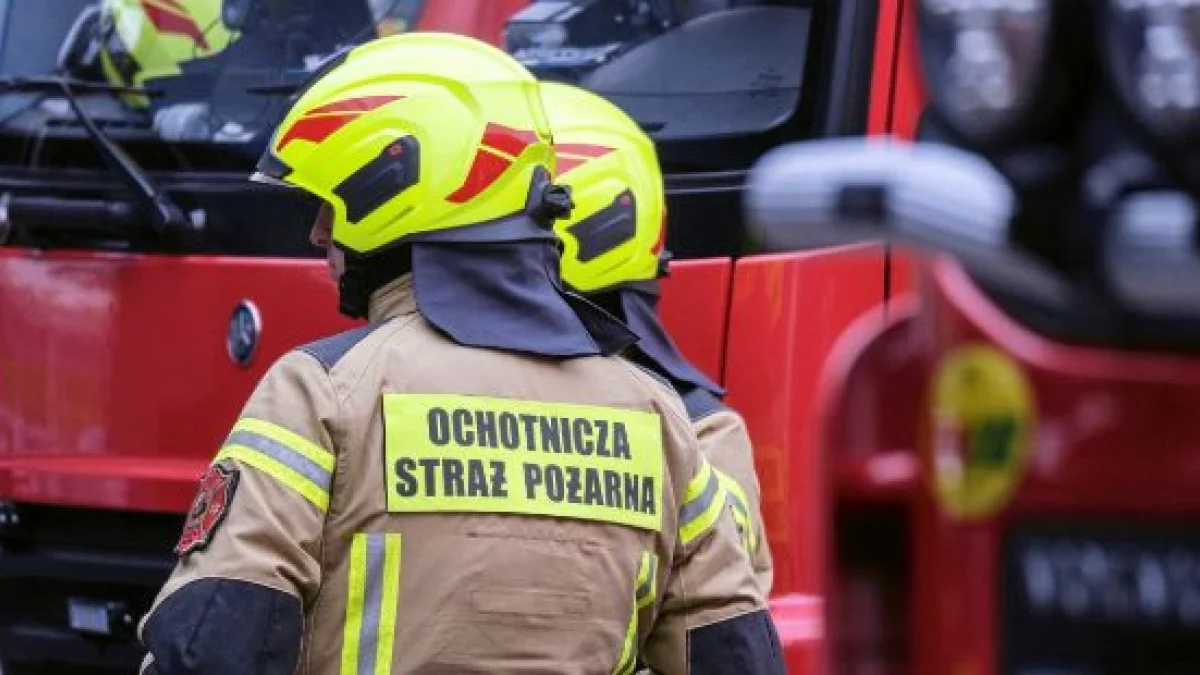 Strażacy gasili ogień przy ul. Zapowiednik - Zdjęcie główne