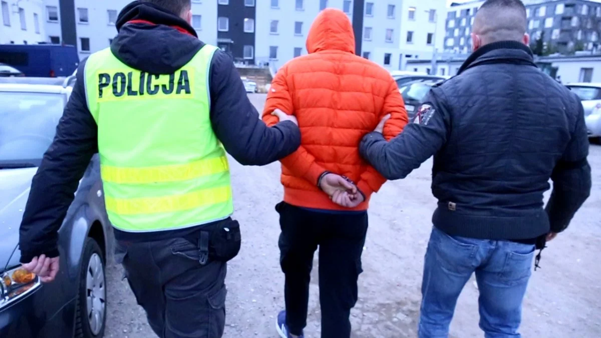 Lublin: Odpowie za kradzieże, kierowanie mimo zakazu i próbę przejechania policjanta - Zdjęcie główne