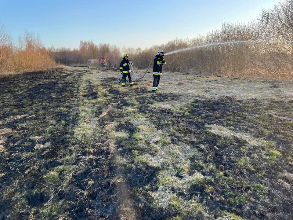 Pożary traw i lasów w gminie Krzywda - Zdjęcie główne