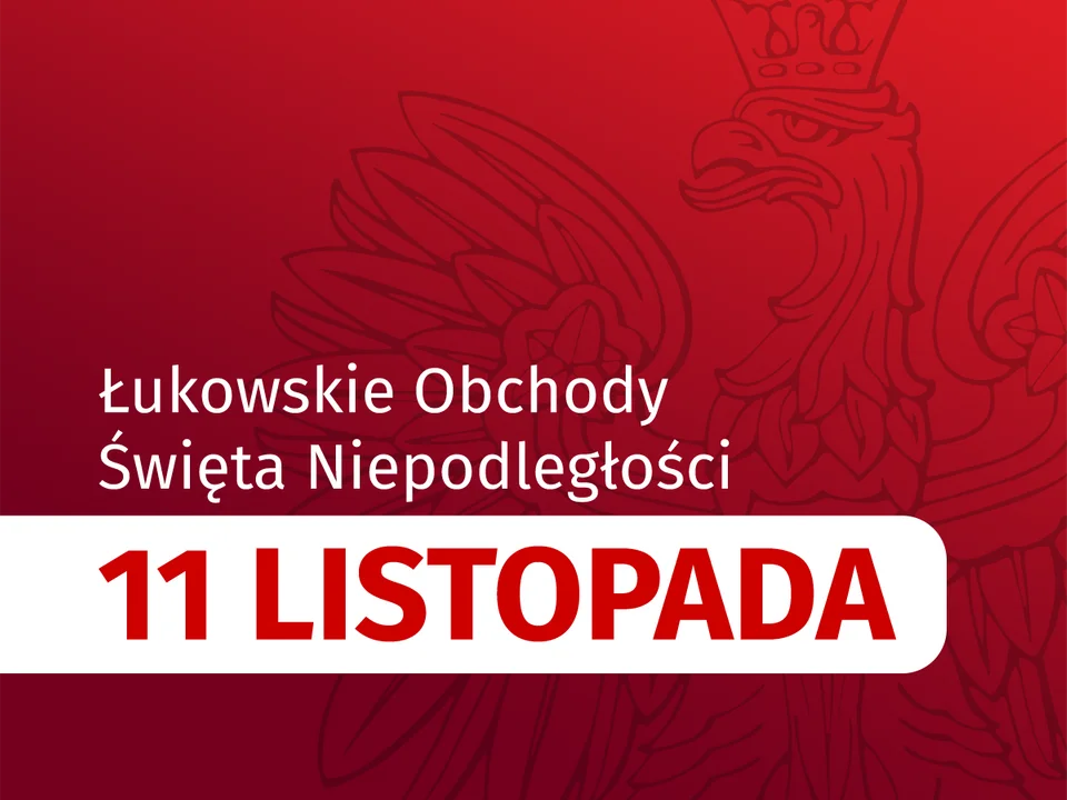 Świętujmy razem 11 listopada! Wszyscy wywieśmy flagę - Zdjęcie główne