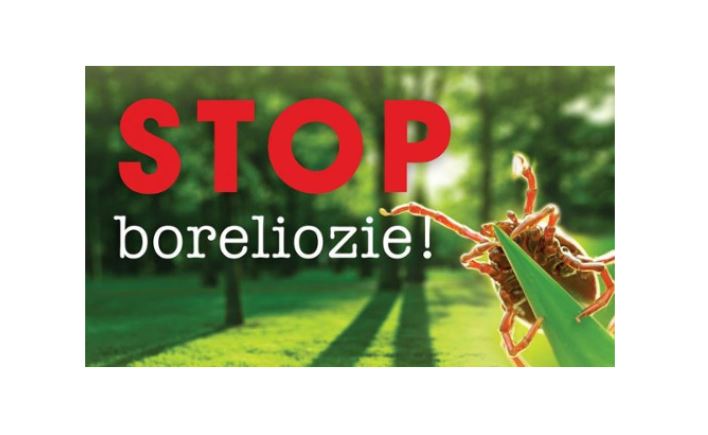 Stop Boreliozie! Zgłoś się na badania - Zdjęcie główne