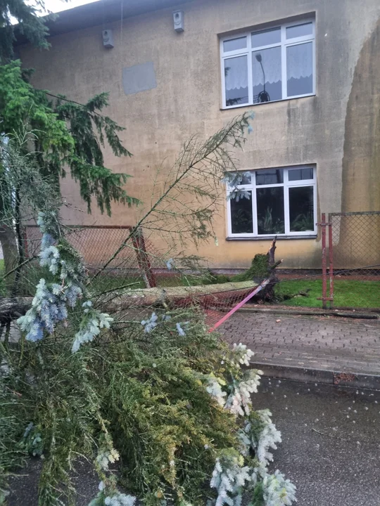 Ulewa w Powiecie Łukowskim. Drzewo uszkodziło ogrodzenie szkoły w Adamowie - Zdjęcie główne