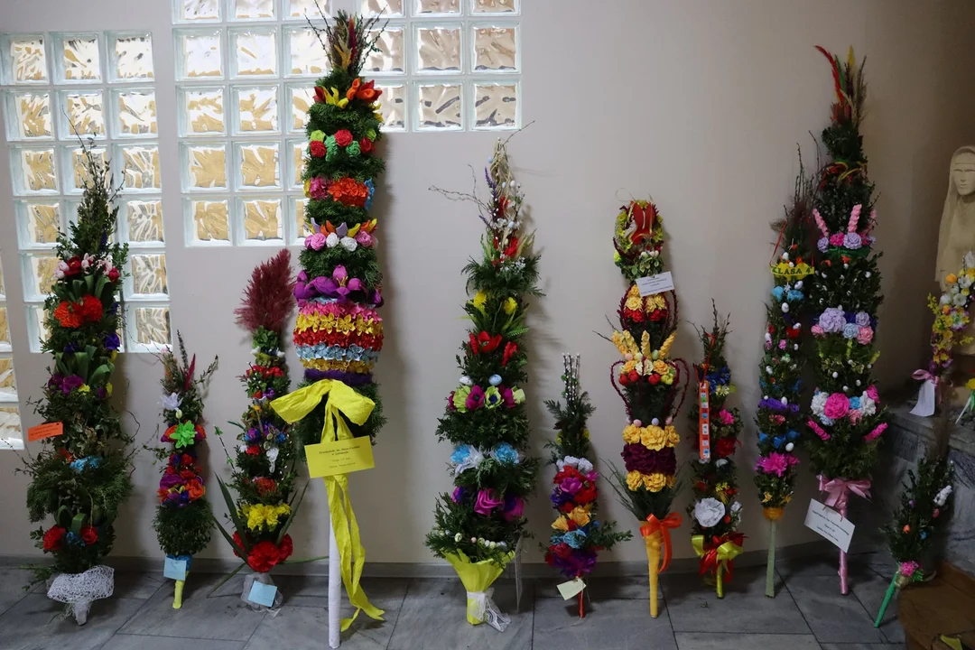 W Domu Kultury w Woli Gułowskiej wybrali najpiękniejsze palmy - Zdjęcie główne
