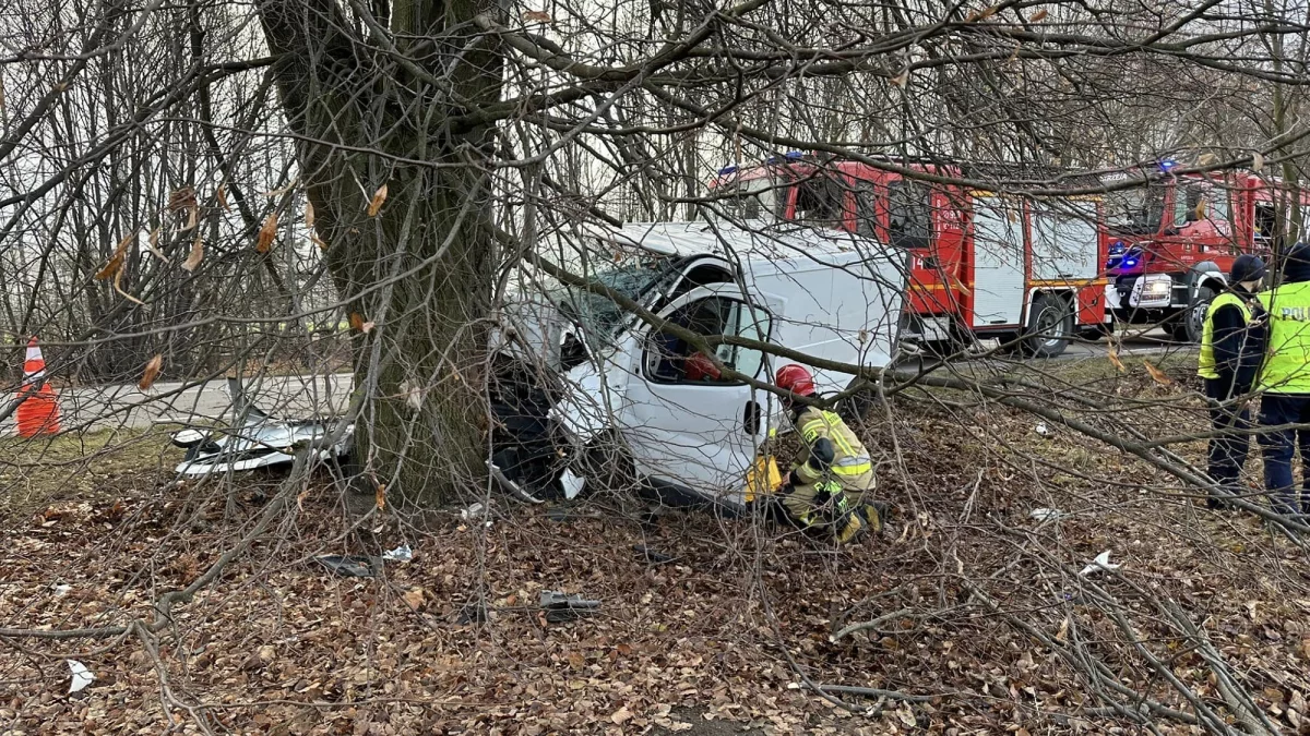 Renault wypadł z drogi i uderzył w drzewo. Kierowca uwięziony w aucie - Zdjęcie główne