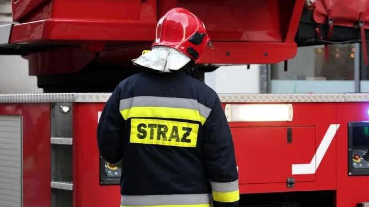 Paliło się na Przemysłowej. Zawodowi strażacy ugasili pożar - Zdjęcie główne
