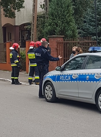 UWAGA. Alarm bombowy w kolejnej szkole (GALERIA)  - Zdjęcie główne