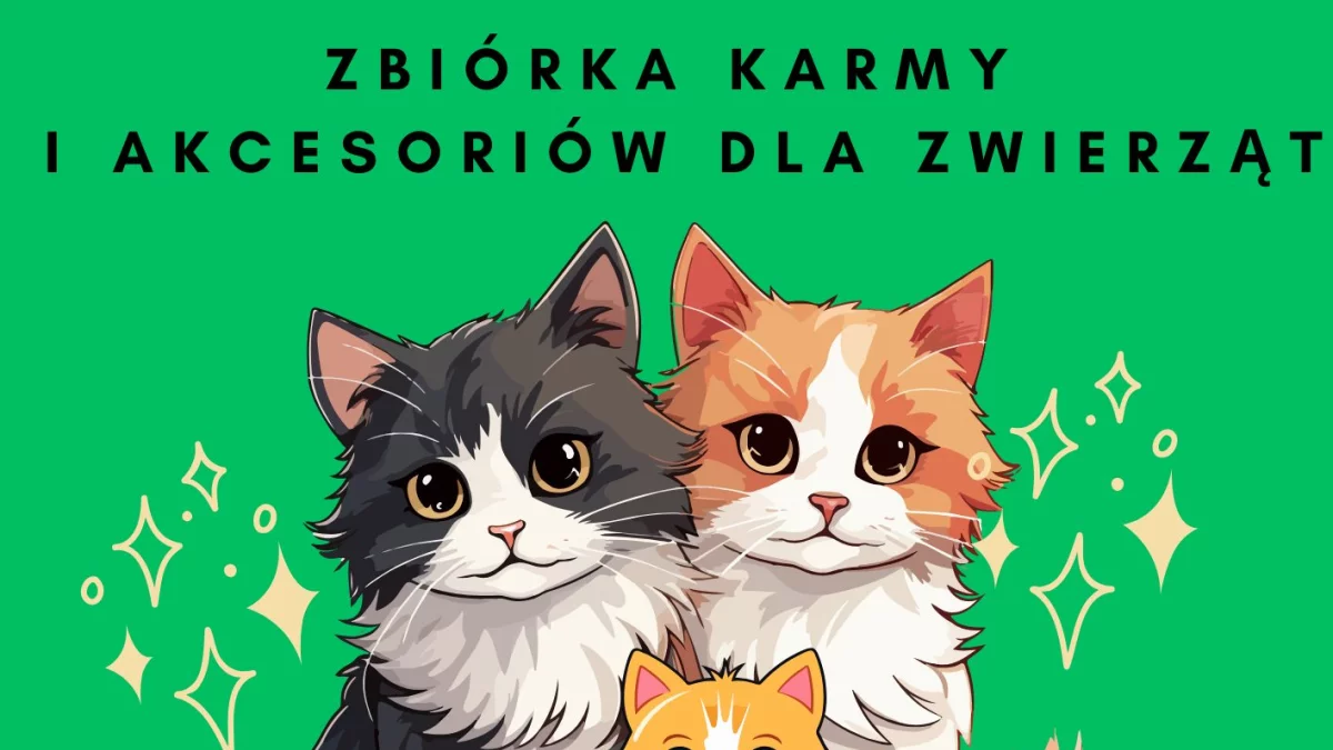 Rusza zbiórka karmy i akcesoriów dla zwierząt w „Alejach”. Prośba o wsparcie „Stowarzyszenia Czaruś” - Zdjęcie główne