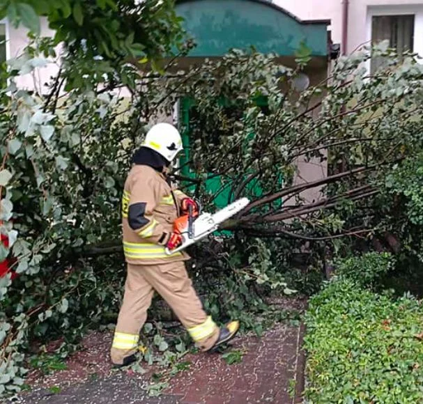 Nawałnica w Łukowie. Wiatr powalił drzewa - Zdjęcie główne