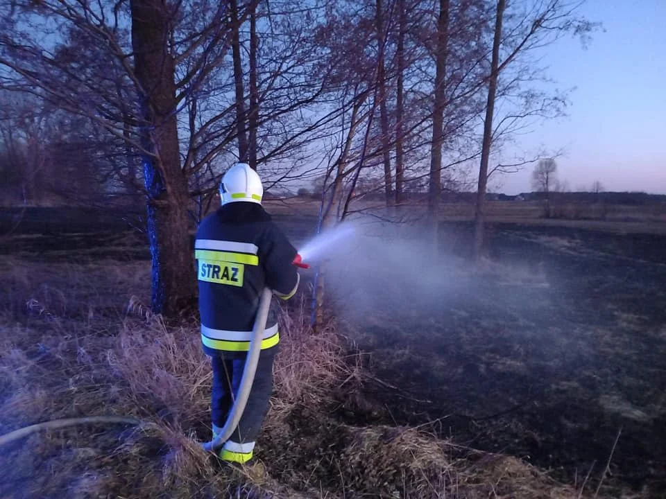 W Gminie Stanin paliło się 1,5 hektara nieużyutków - Zdjęcie główne