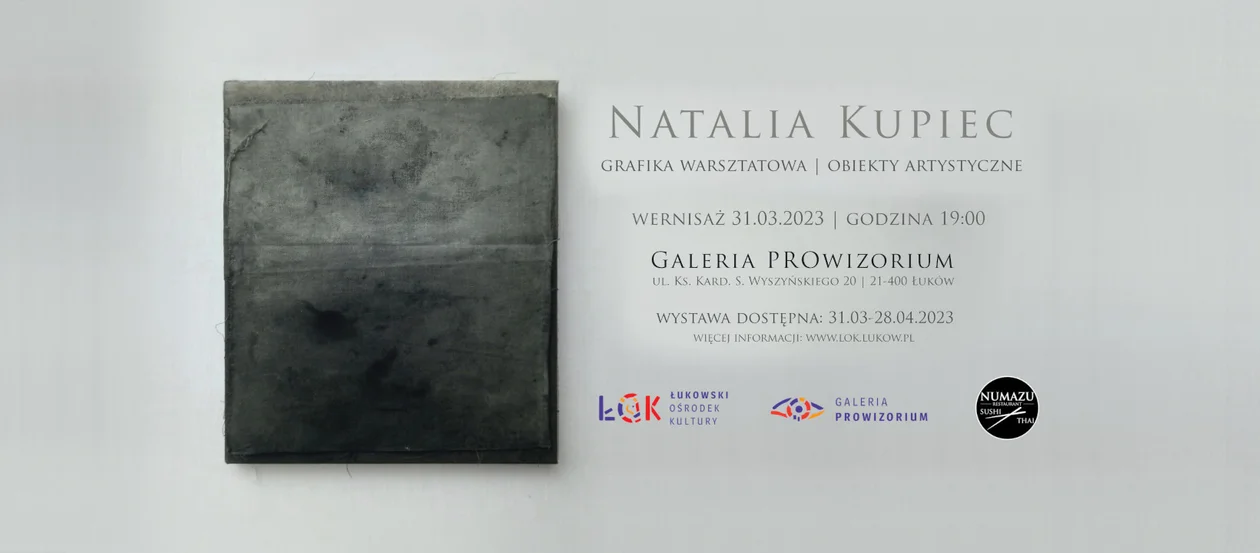 Wystawa Natalii Kupiec w Galerii PROwizorium ŁOK - Zdjęcie główne