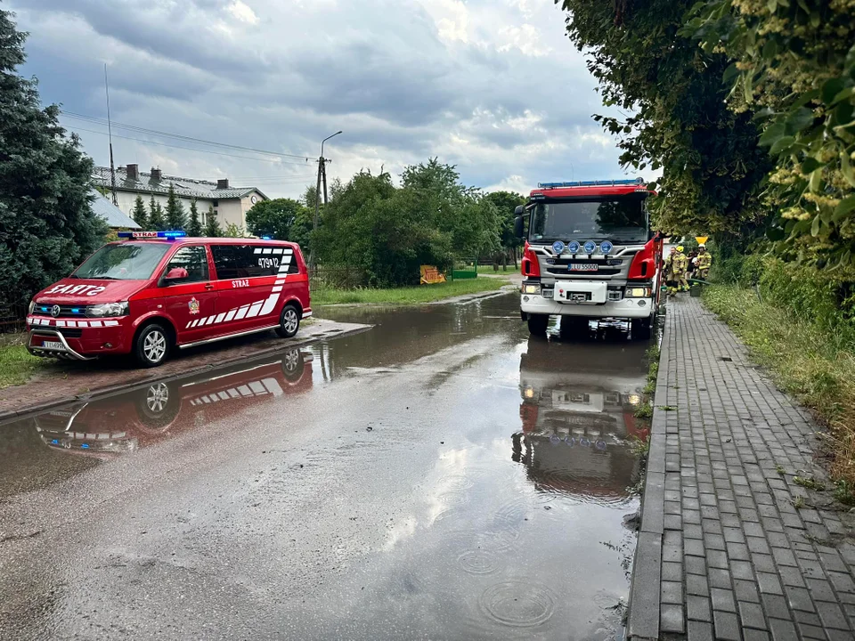 Powalone drzewa i zalane drogi. Pracowite popołudnie strażaków z Krzywdy - Zdjęcie główne