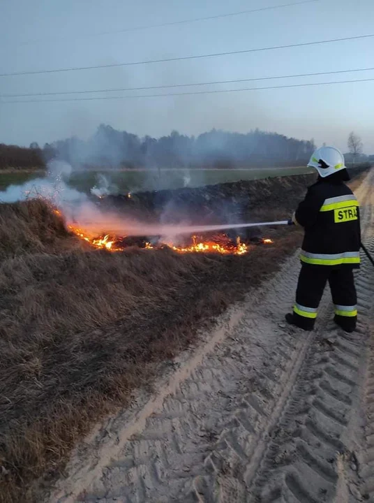 W Dąbiu paliła się trawa. Strażacy z OSP Dąbie ugasili pożar.  - Zdjęcie główne