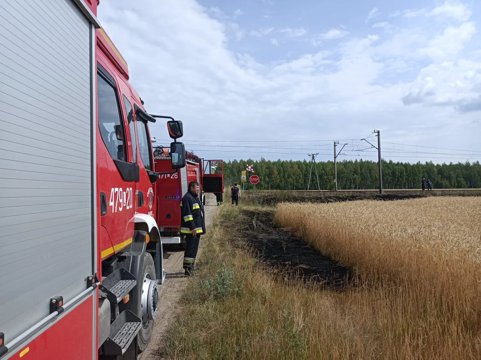 Pożar przy torach, sześć zastępów straży w akcji - Zdjęcie główne