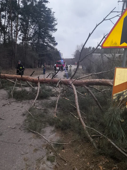 USUWANIE WIATROŁOMÓW 