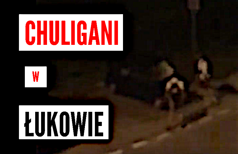 ŁUKÓW. Chuligani demolują samochód na os. Chącińskiego (WIDEO) - Zdjęcie główne