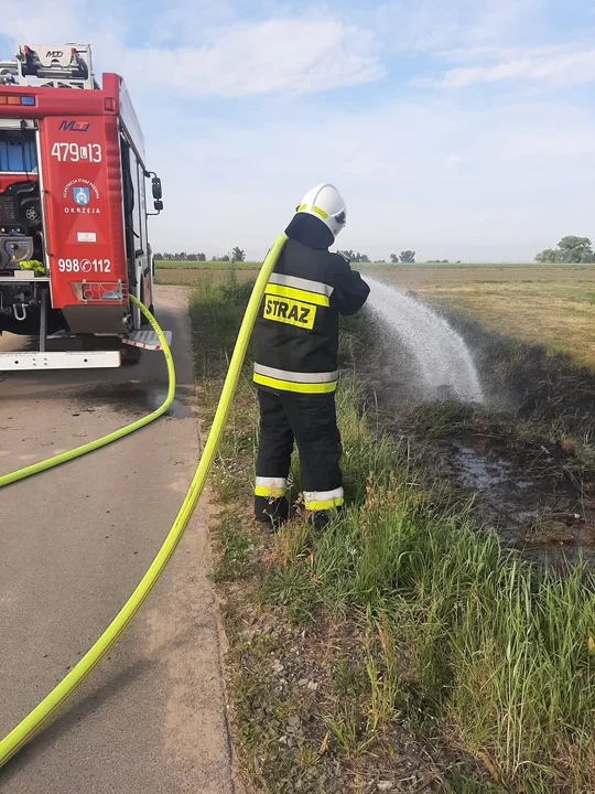 W gminie Krzywda spłonęło 50 metrów kwadratowych traw - Zdjęcie główne