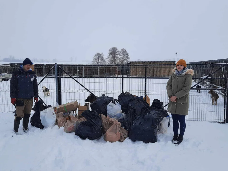 Zebrali dary dla bezdomnych psów i kotów.  Akcja "Gwiazdka dla zwierzaków" - Zdjęcie główne