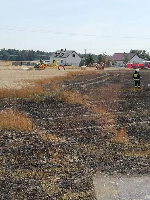 Gmina Wojcieszków: Pożar zboża w Zofijówce - Zdjęcie główne