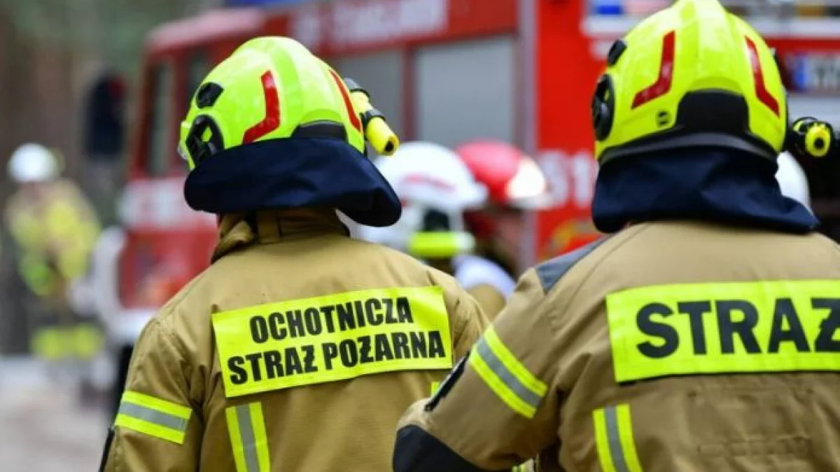BMW stanęło w ogniu. Interweniowało kilka jednostek - Zdjęcie główne