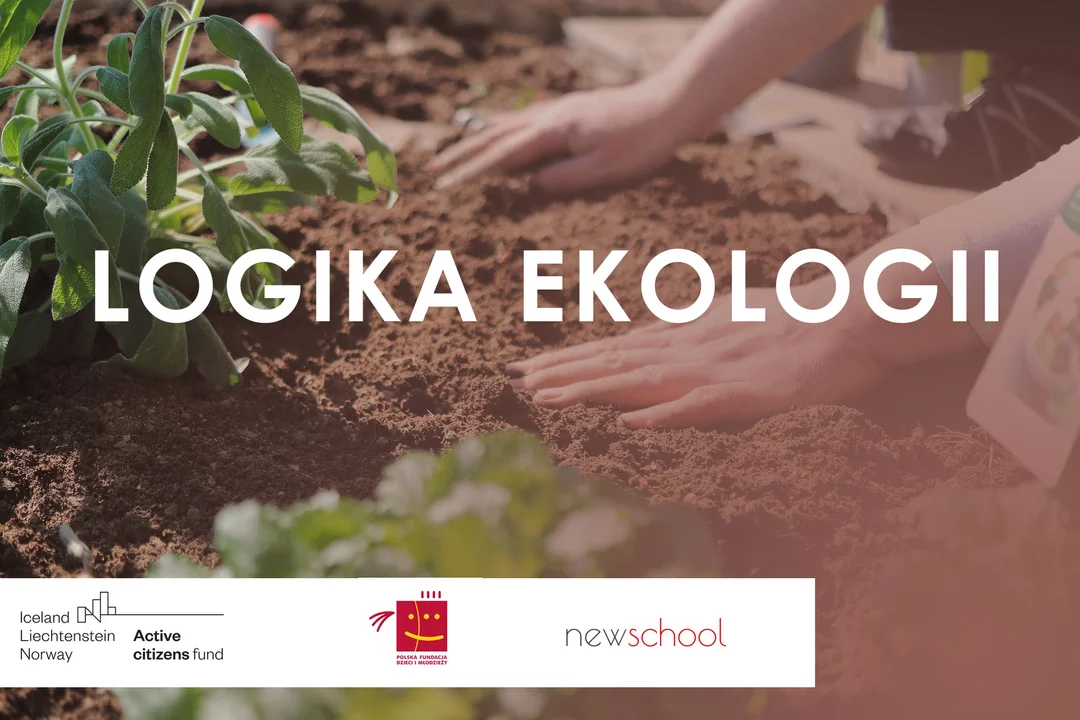 Polsko-norweski projekt edukacyjny realizowany w szkole w Łukowie - Zdjęcie główne