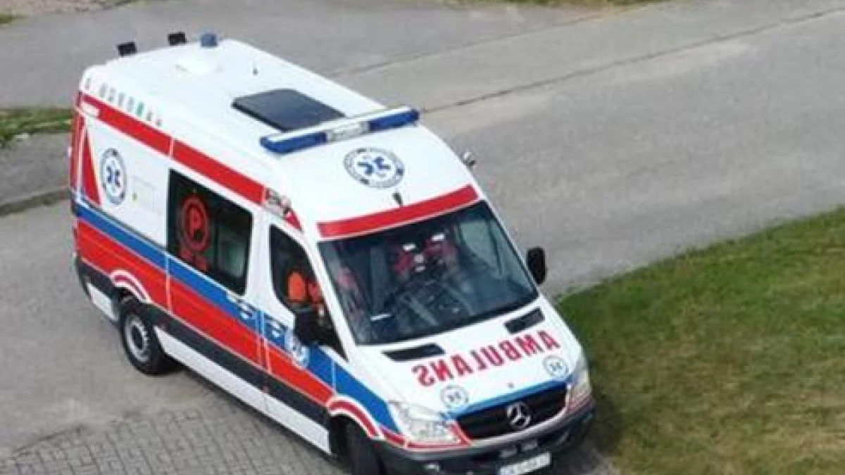 Interwencja w Orlim Gnieździe. Policjanci i strażacy pomogli pogotowiu i starszej pani - Zdjęcie główne