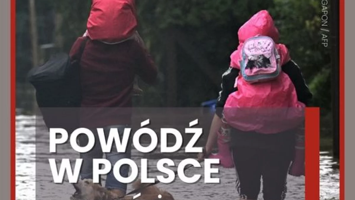 Parafialny Caritas w Łukowie zbiera dary dla powodzian. Sprawdź gdzie i co możesz przekazać. - Zdjęcie główne