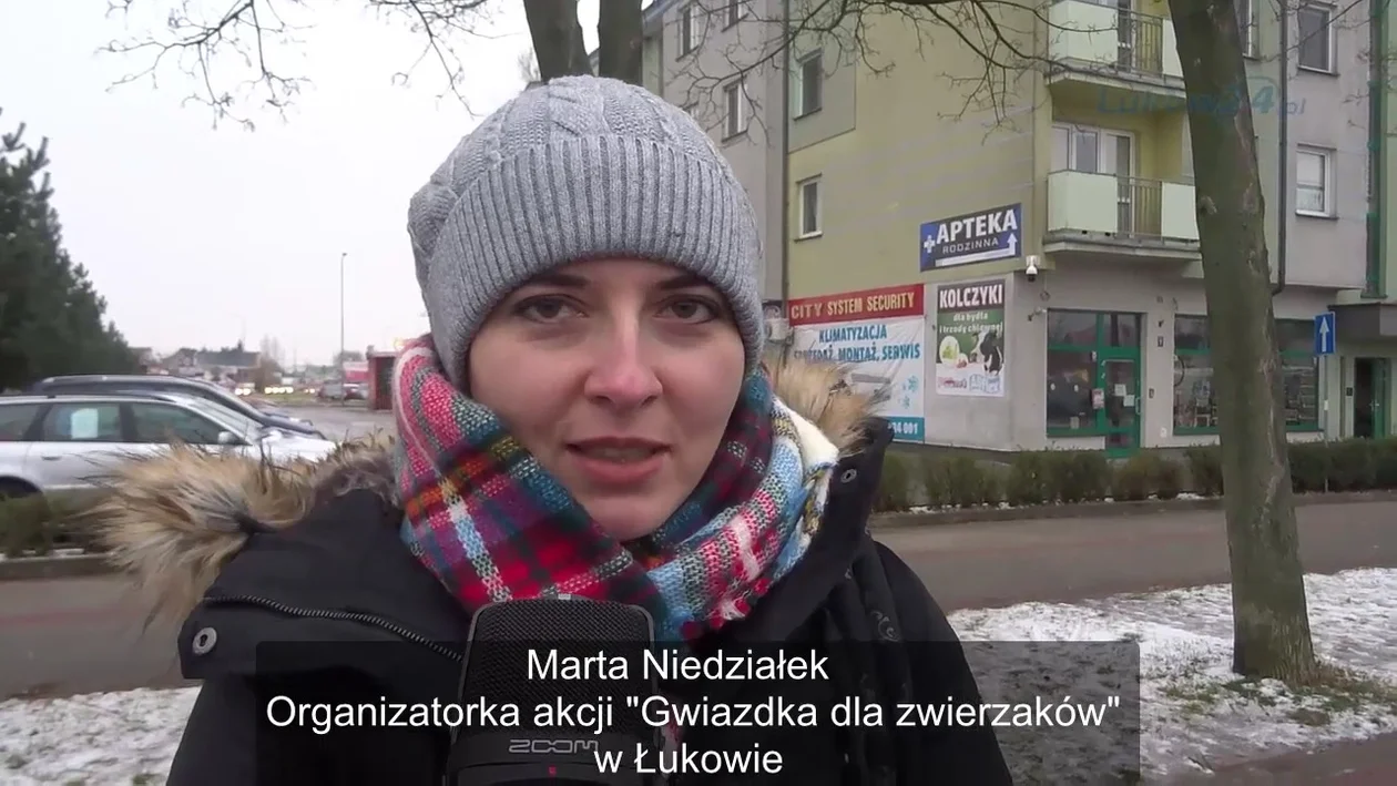 Łuków: Akcja charytatywna Gwiazdka dla zwierzaków [VIDEO] - Zdjęcie główne