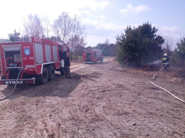 Paliły się nieużytki rolne w Drożdżaku - Zdjęcie główne