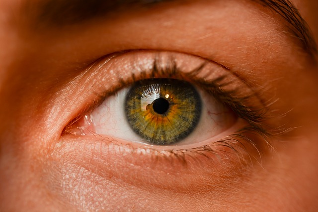 Postaw na pełną i bezpłatną diagnostykę swojego wzroku! - Zdjęcie główne